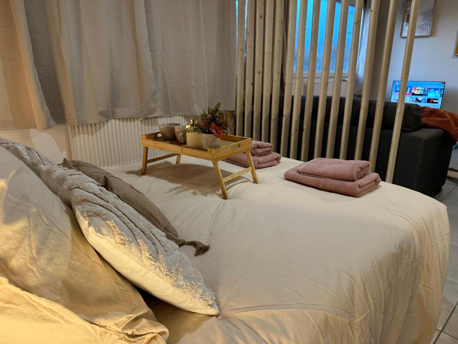 Apartment Lerelaisdodile - Cosy - Proche Metro - Parking Gratuit - Mons-en-Baroeul